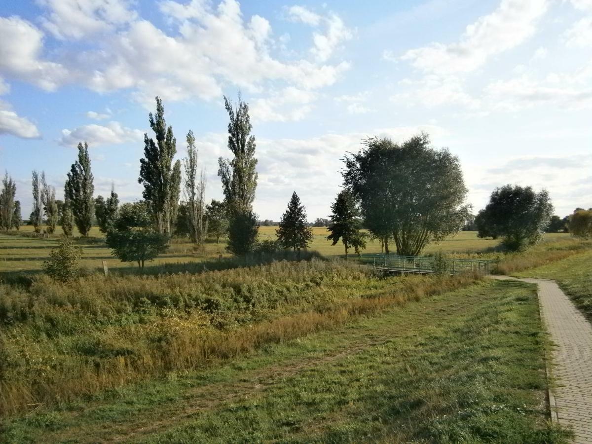 Alles Paletti Mit Klimaanlage Appartement Wittenberg Buitenkant foto